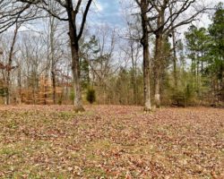 Lexington Tennessee Home Auction (28)